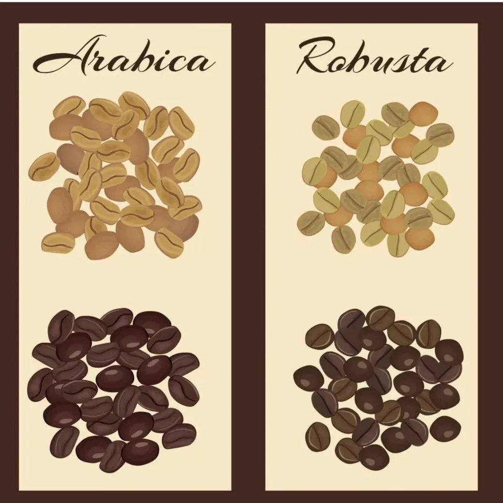arabica vs robusta coffee beans caffeine content